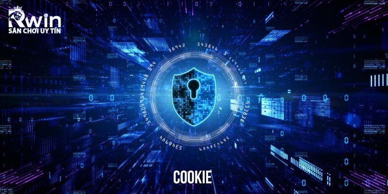 Cookie là một trong những chức năng có vai trò cực kỳ cần thiết 