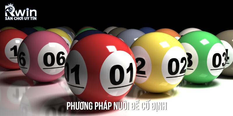 Phương pháp nuôi lô luôn có lãi